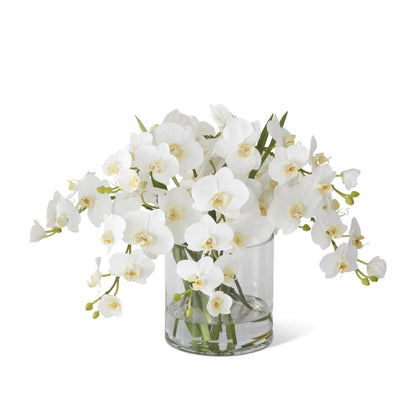 K&K Interiors 16" Real Touch White Orchid Flower Arrangement in Faux Water Glass Vase