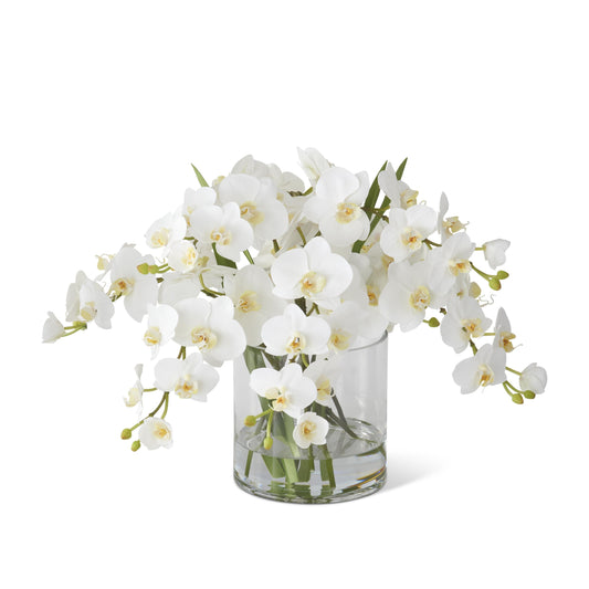 K&K Interiors 16" Real Touch White Orchid Flower Arrangement in Faux Water Glass Vase