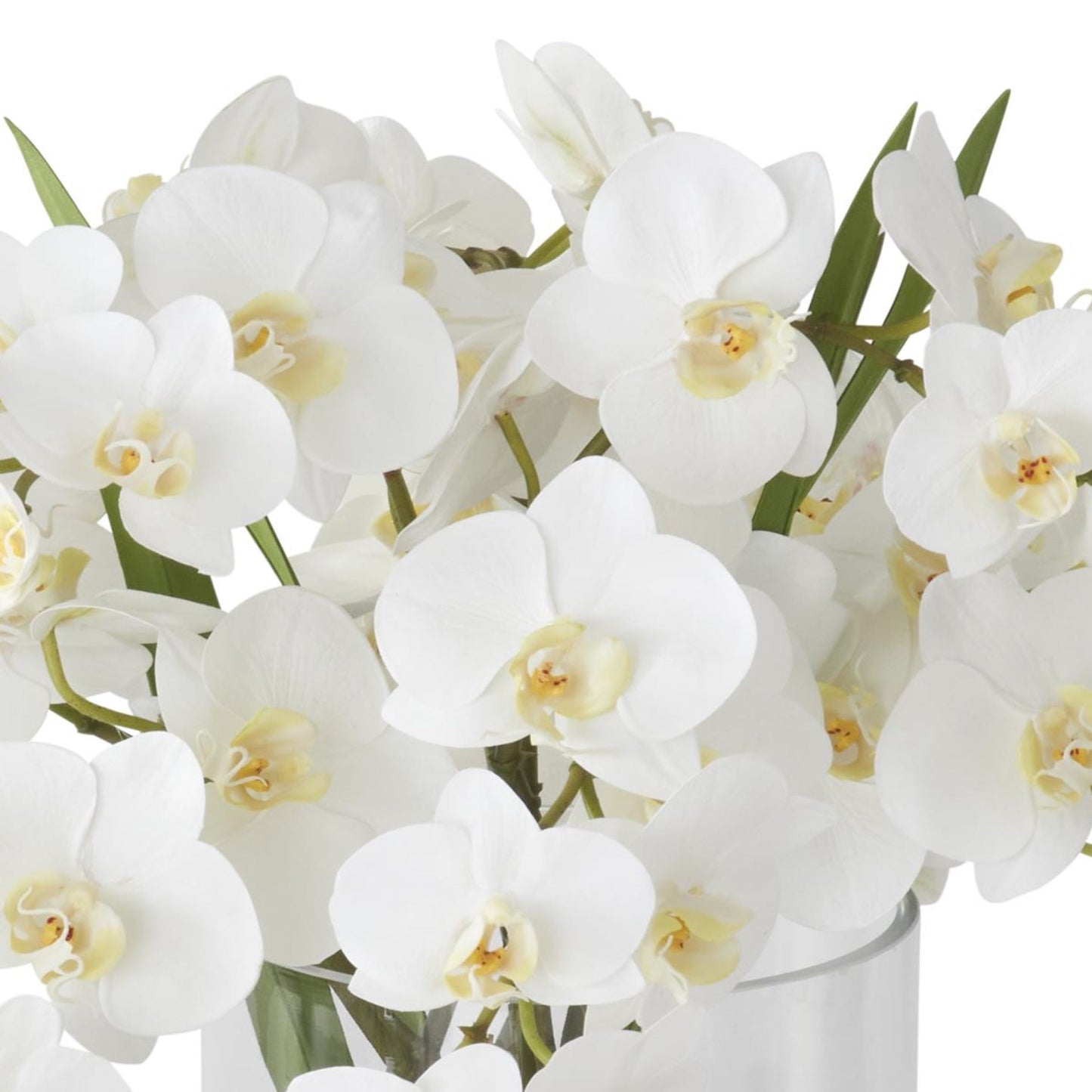 K&K Interiors 16" Real Touch White Orchid Flower Arrangement in Faux Water Glass Vase