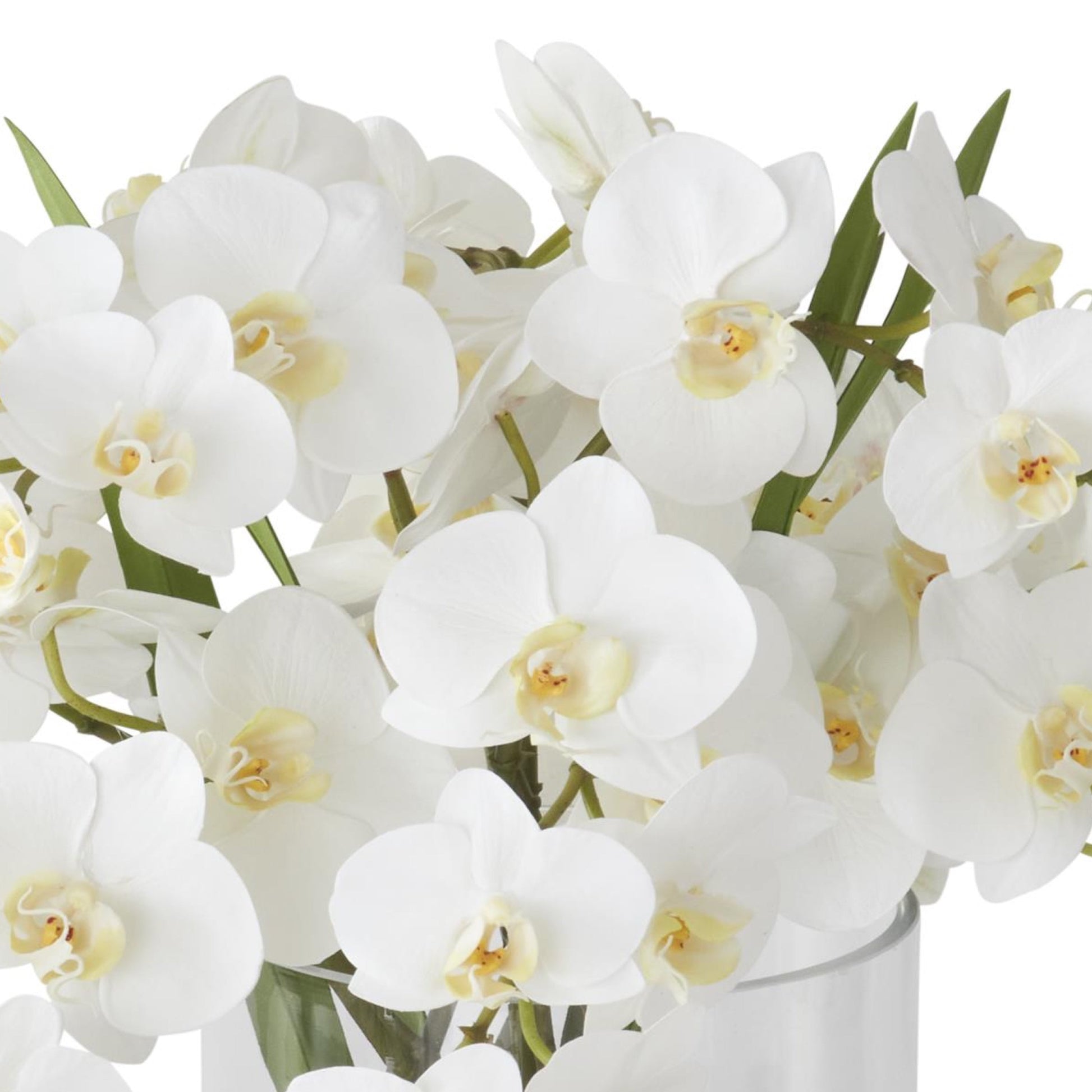 K&K Interiors 16" Real Touch White Orchid Flower Arrangement in Faux Water Glass Vase