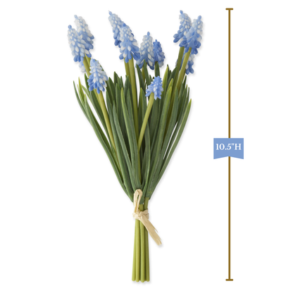 K&K Interiors 10.5" Blue Grape Hyacinth Spring Flowers for Easter - 6 Stem Bundle