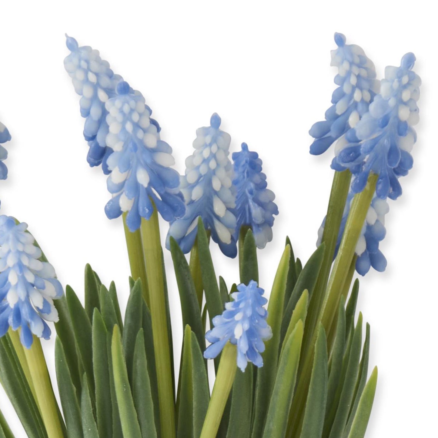 K&K Interiors 10.5" Blue Grape Hyacinth Spring Flowers for Easter - 6 Stem Bundle