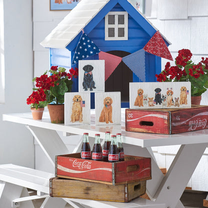 RAZ Imports 13.75" Patriotic Dog Box Sign, Wall Art Decoration for Fourth of July