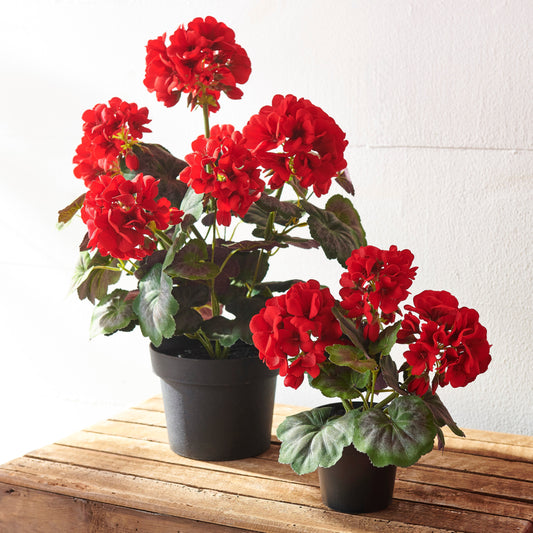 RAZ Imports Red Geranium Potted Flowers