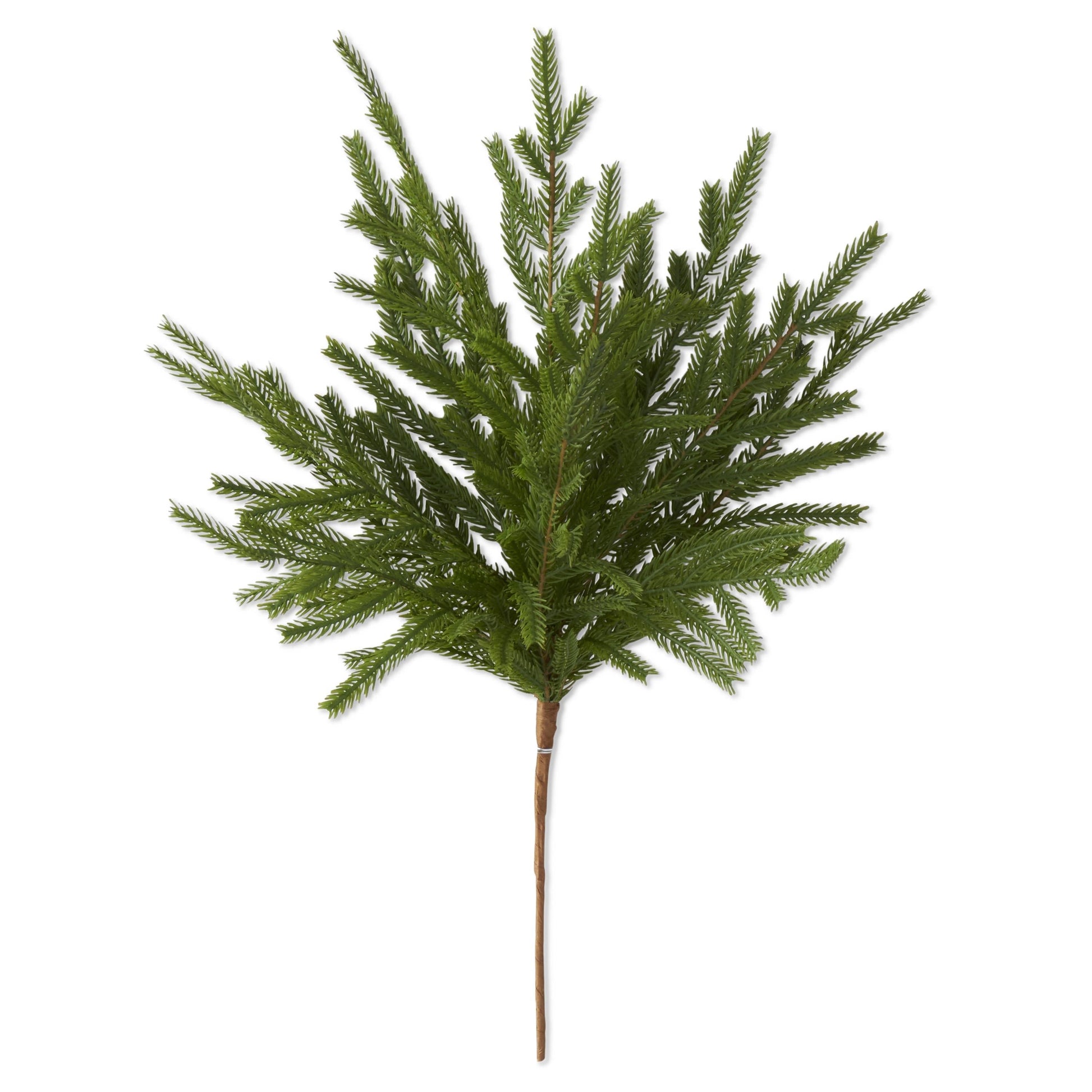 K&K Interiors 19" Norfolk Pine Real Touch Christmas Tree Spray
