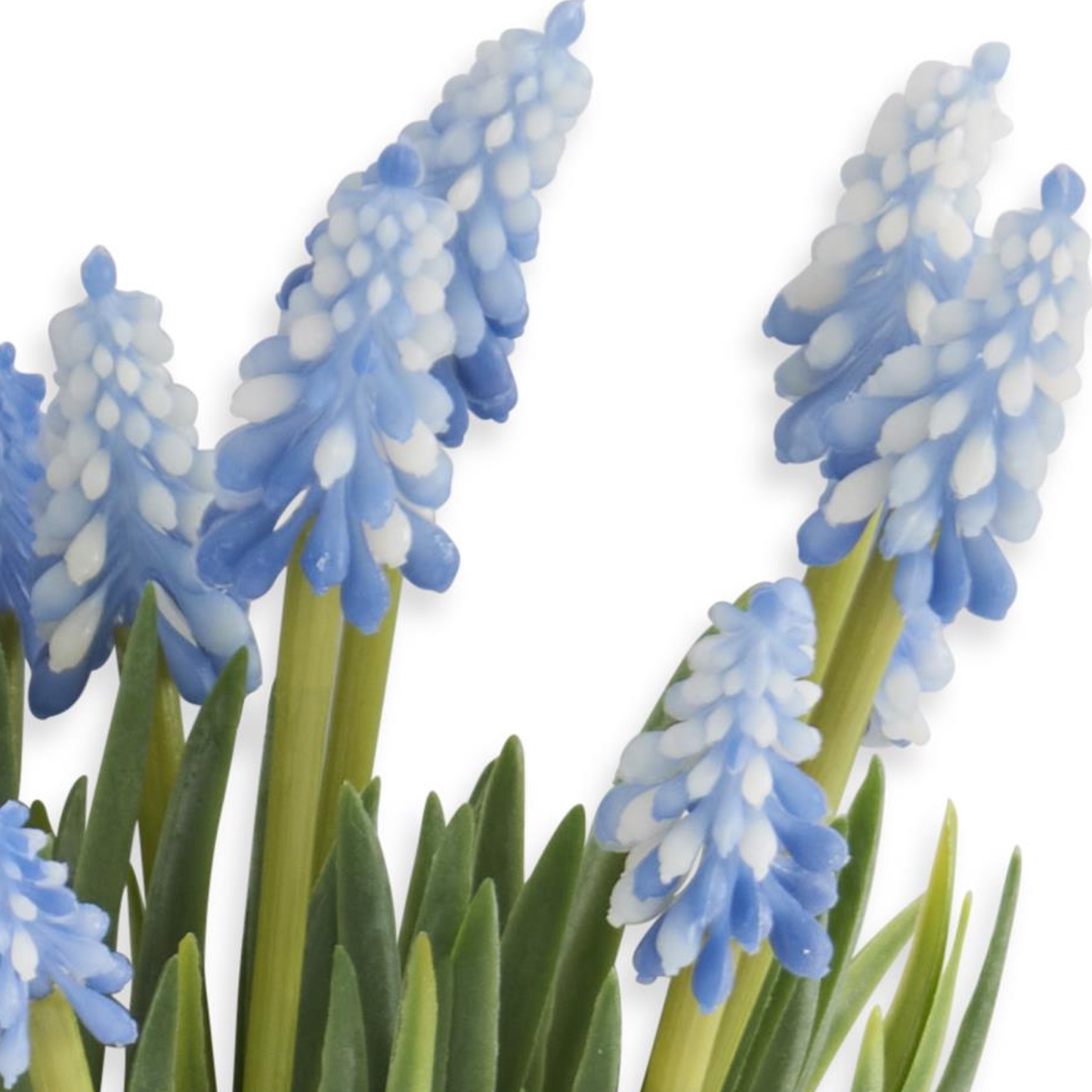 K&K Interiors 10.5" Blue Grape Hyacinth Spring Flowers for Easter - 6 Stem Bundle
