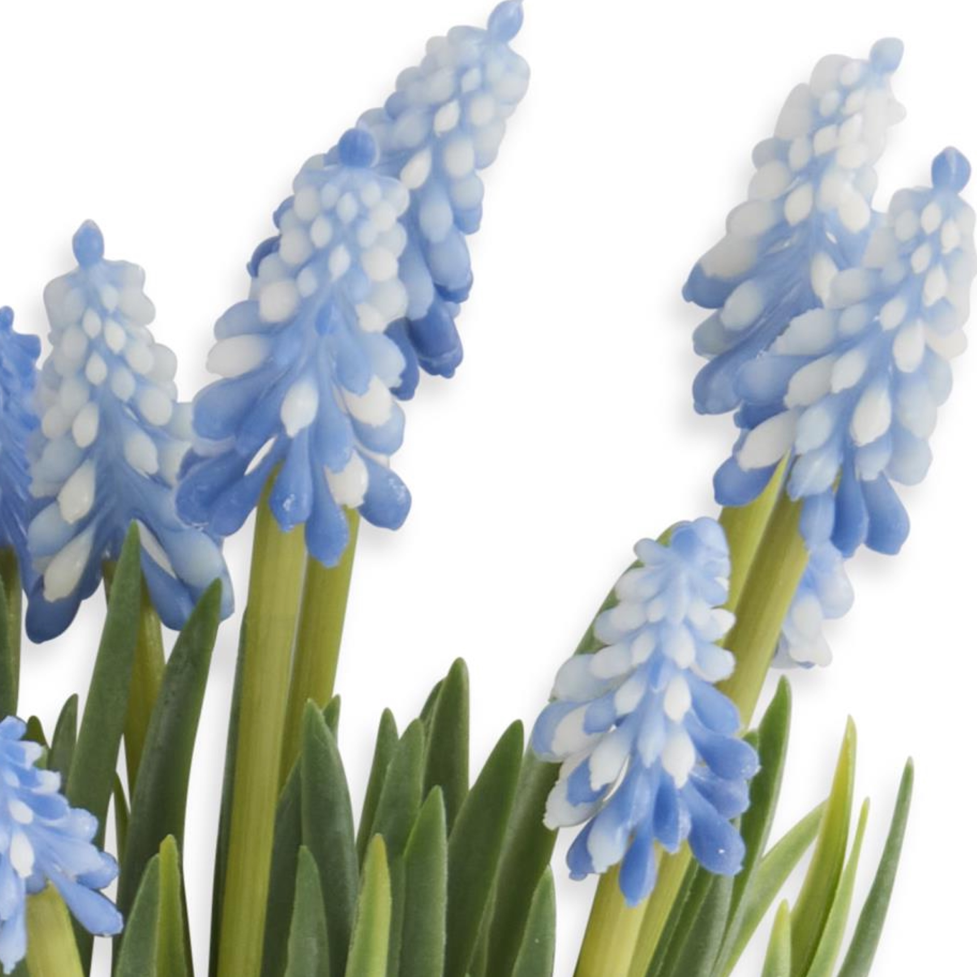 K&K Interiors 10.5" Blue Grape Hyacinth Spring Flowers for Easter - 6 Stem Bundle