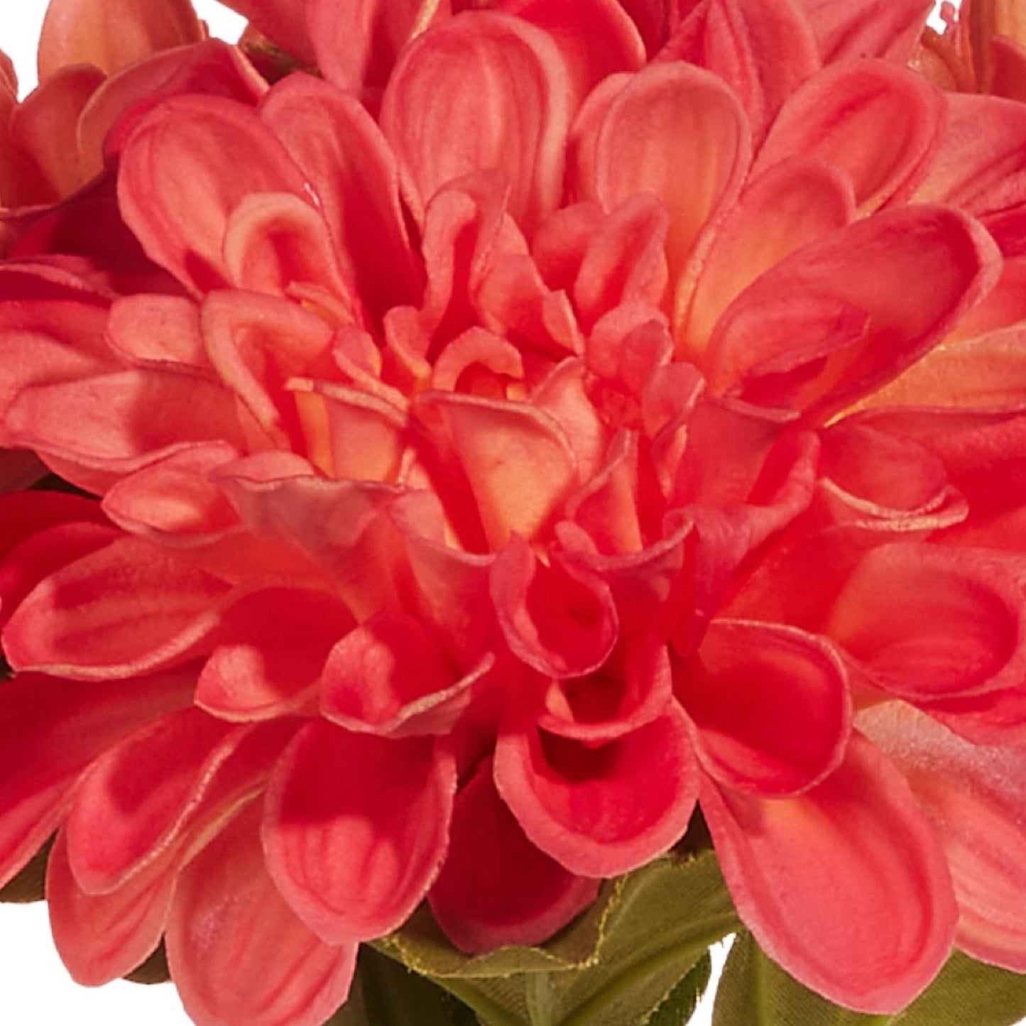 RAZ Imports 11" Real Touch Dahlia Artificial Flowers - 5 Stem Bundle