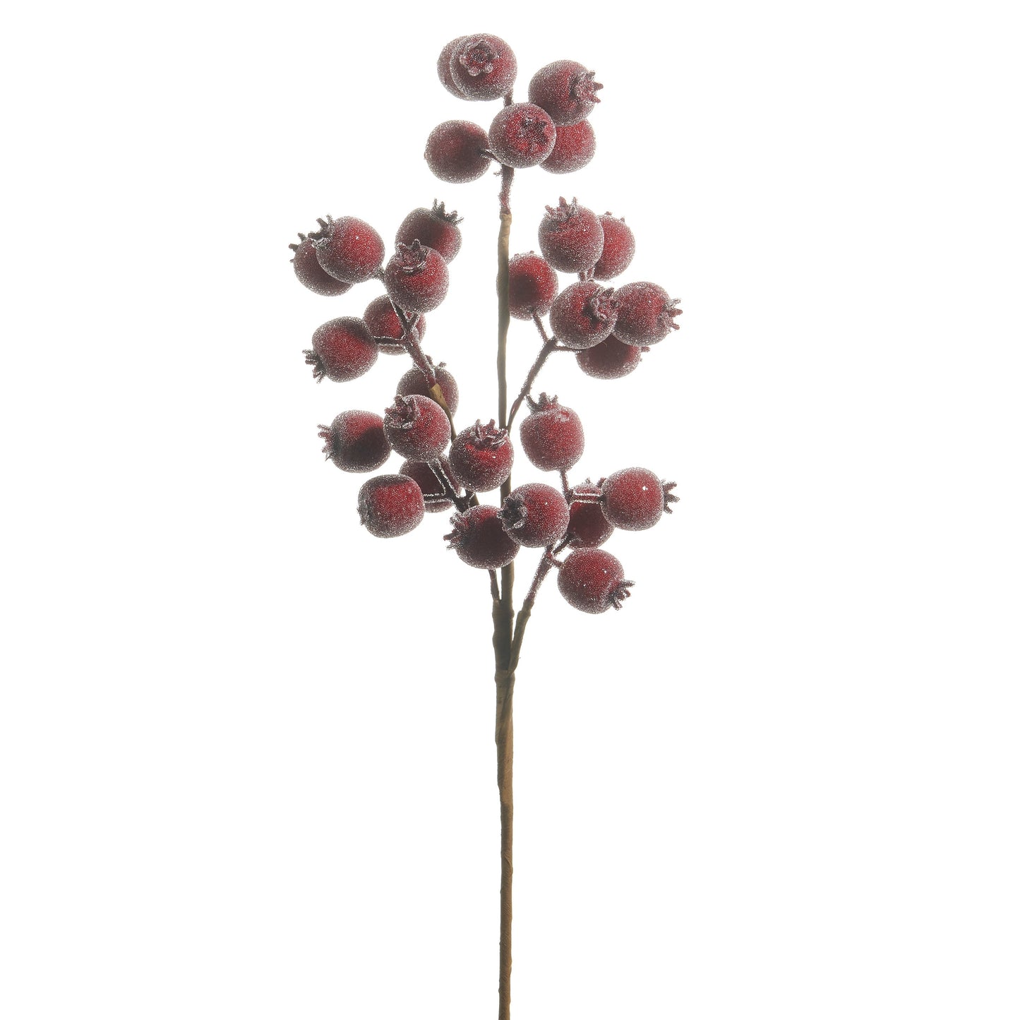 RAZ Imports 21" Iced Burgundy Red Berry Pod Decorative Christmas Tree Spray - Set of 12