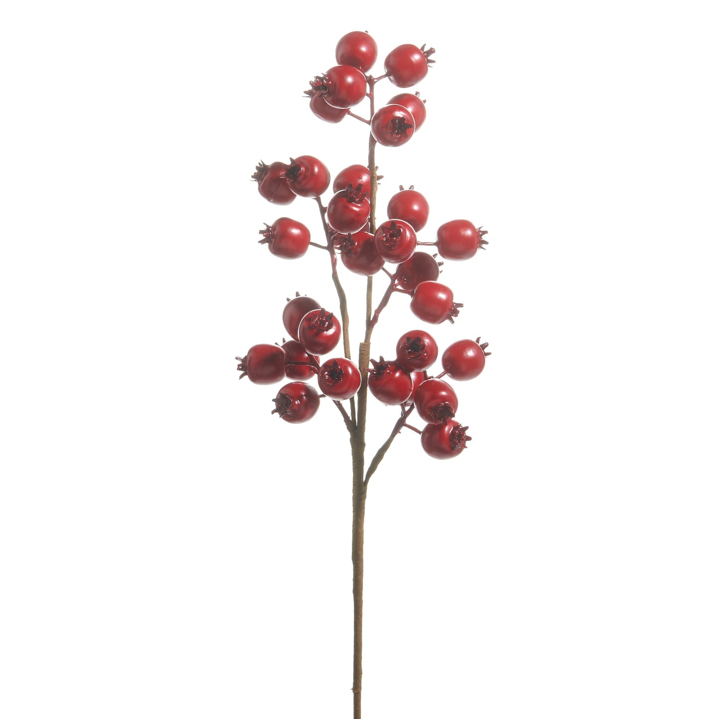 RAZ Imports 21" Matte Red Berry Pod Decorative Christmas Tree Spray - Set of 12