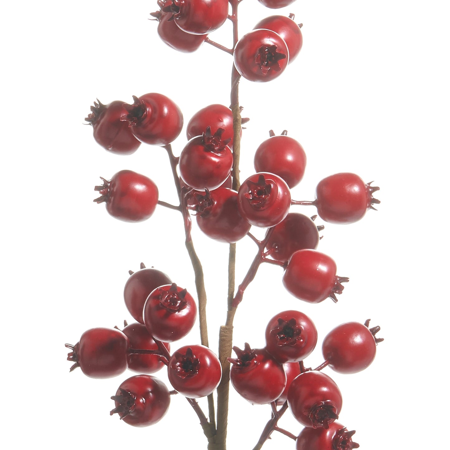 RAZ Imports 21" Matte Red Berry Pod Decorative Christmas Tree Spray - Set of 12