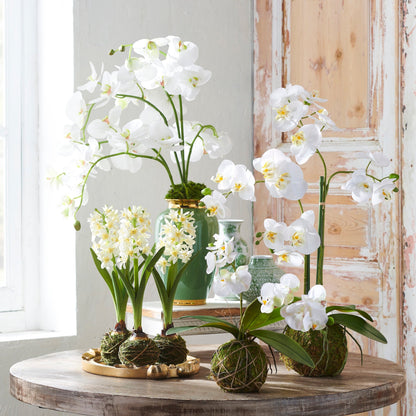 RAZ Imports 23.75" Real Touch White Orchid Flower with Moss Ball