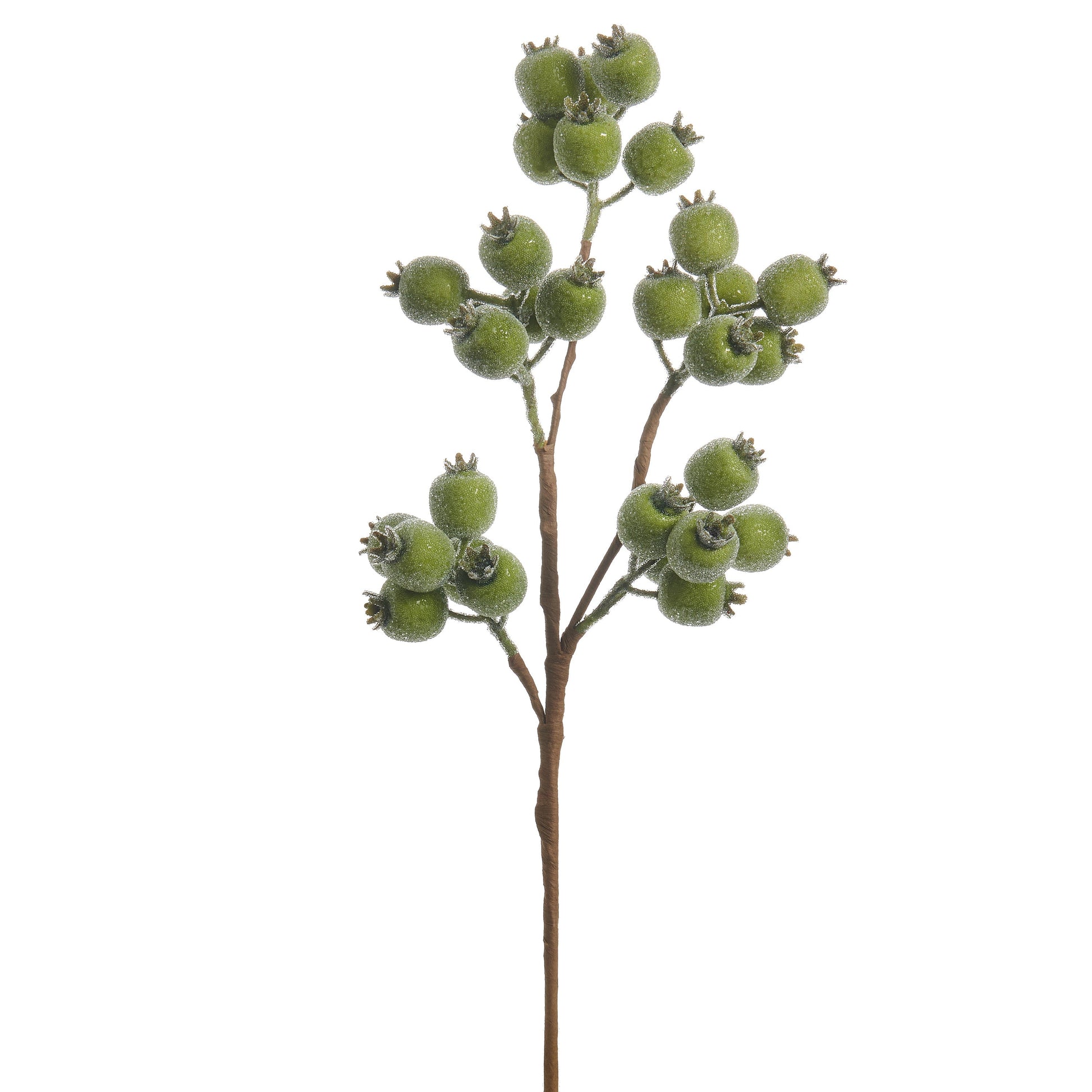 RAZ Imports 21" Iced Green Berry Pod Decorative Christmas Tree Spray - Set of 12