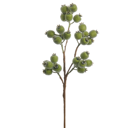 RAZ Imports 21" Iced Green Berry Pod Decorative Christmas Tree Spray - Set of 12