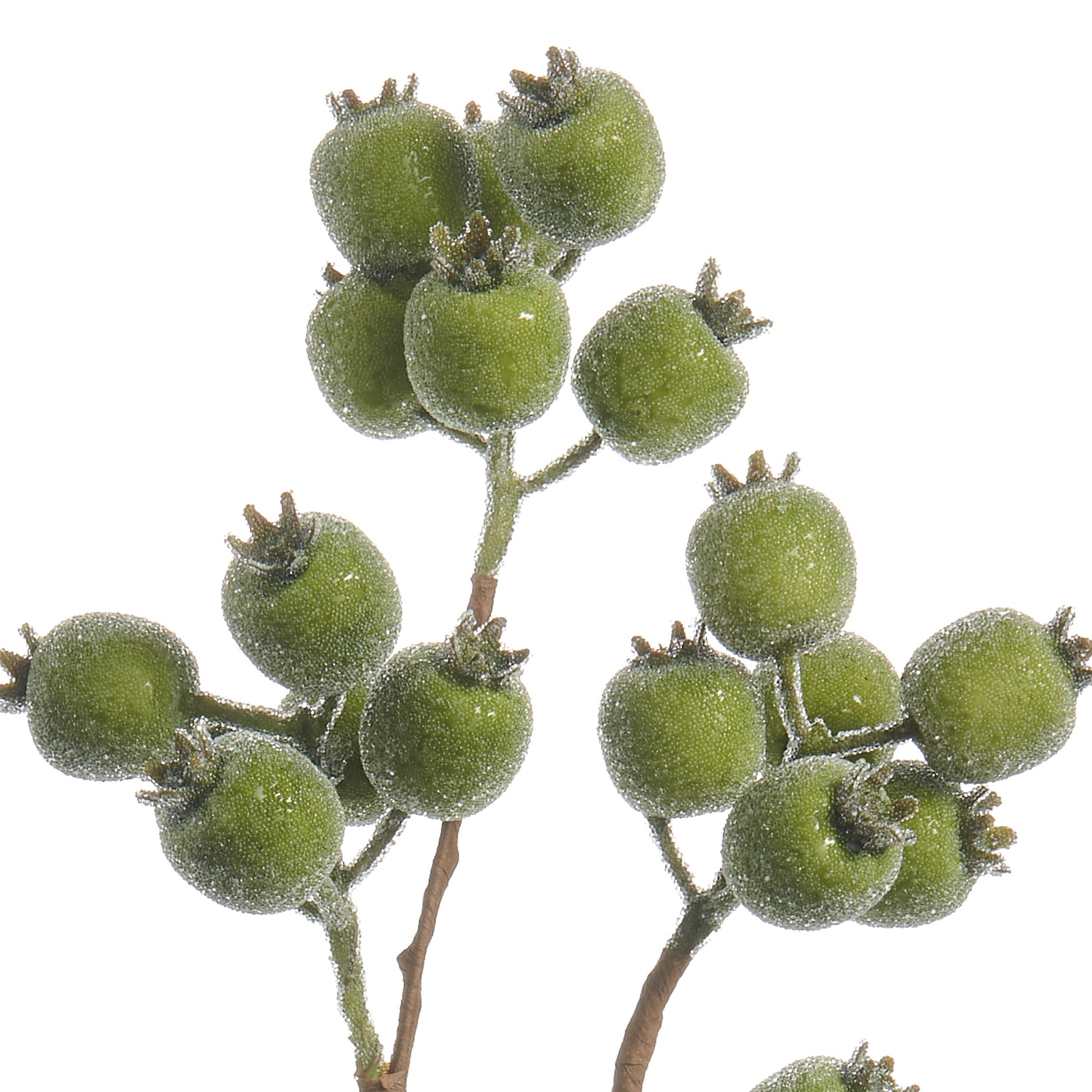 RAZ Imports 21" Iced Green Berry Pod Decorative Christmas Tree Spray - Set of 12