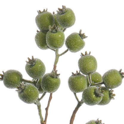 RAZ Imports 21" Iced Green Berry Pod Decorative Christmas Tree Spray - Set of 12