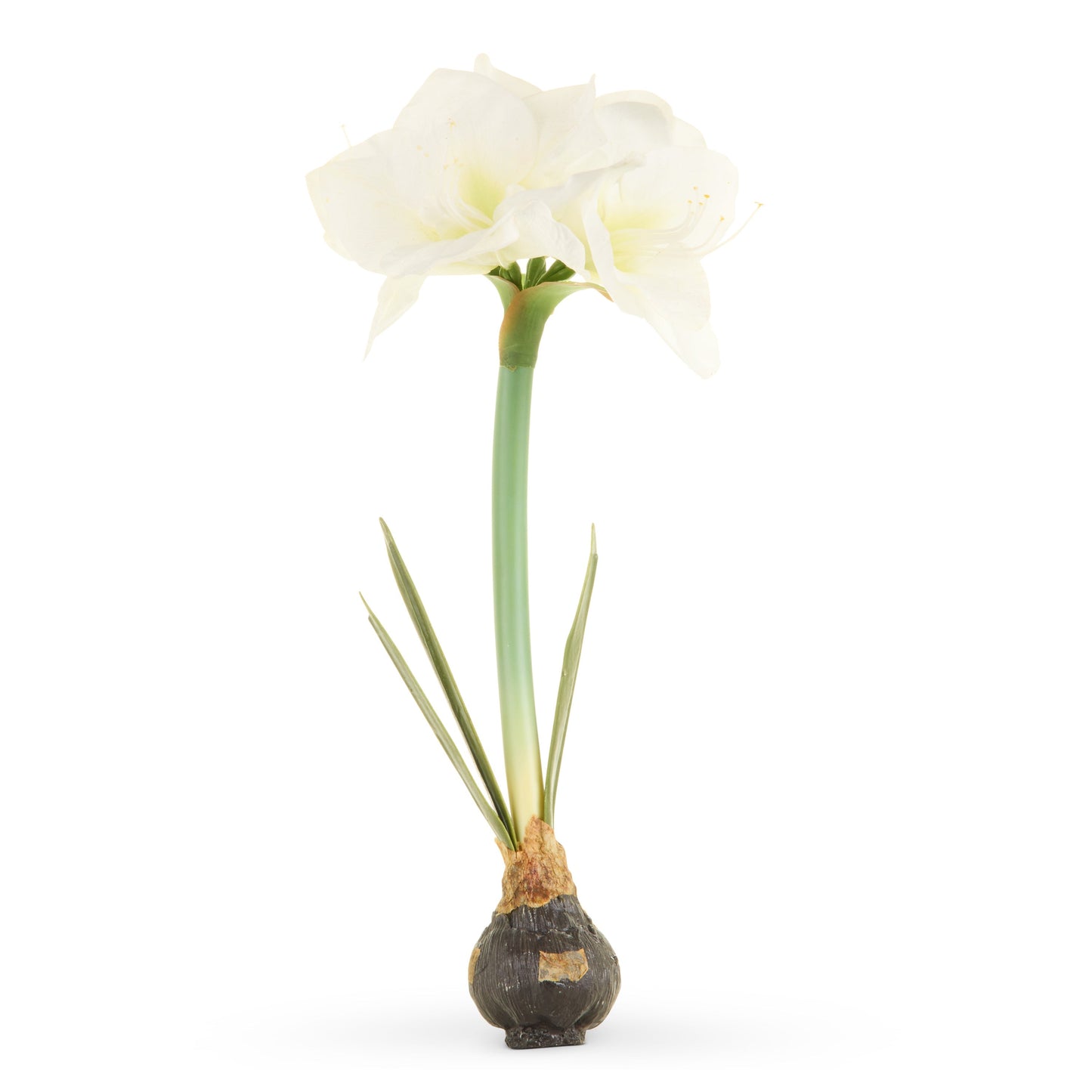 RAZ Imports 19" Real Touch Amaryllis Bulb Christmas Flower