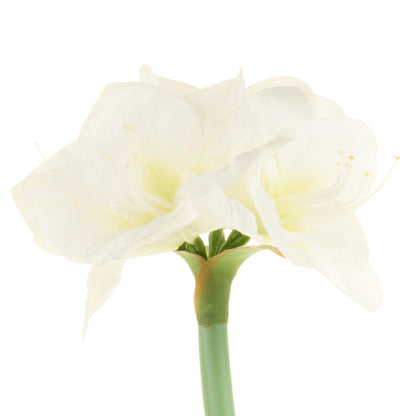 RAZ Imports 19" Real Touch Amaryllis Bulb Christmas Flower