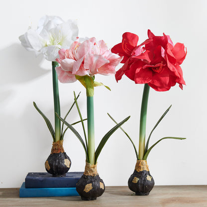 RAZ Imports 19" Real Touch Amaryllis Bulb Christmas Flower