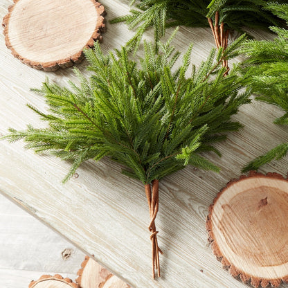 K&K Interiors 19" Norfolk Pine Real Touch Christmas Tree Spray
