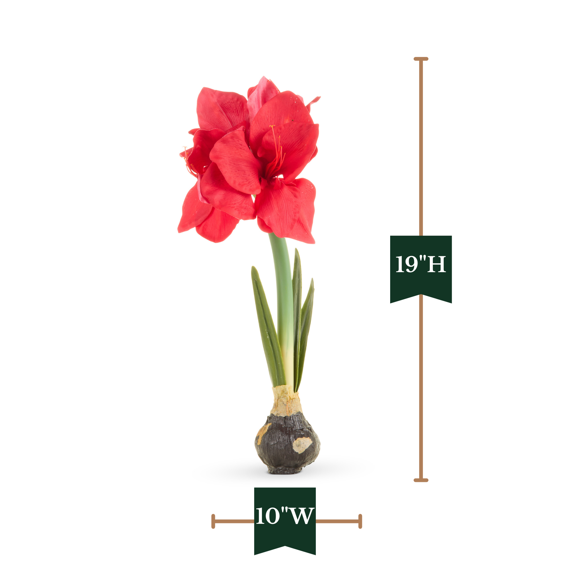 RAZ Imports 19" Real Touch Amaryllis Bulb Christmas Flower