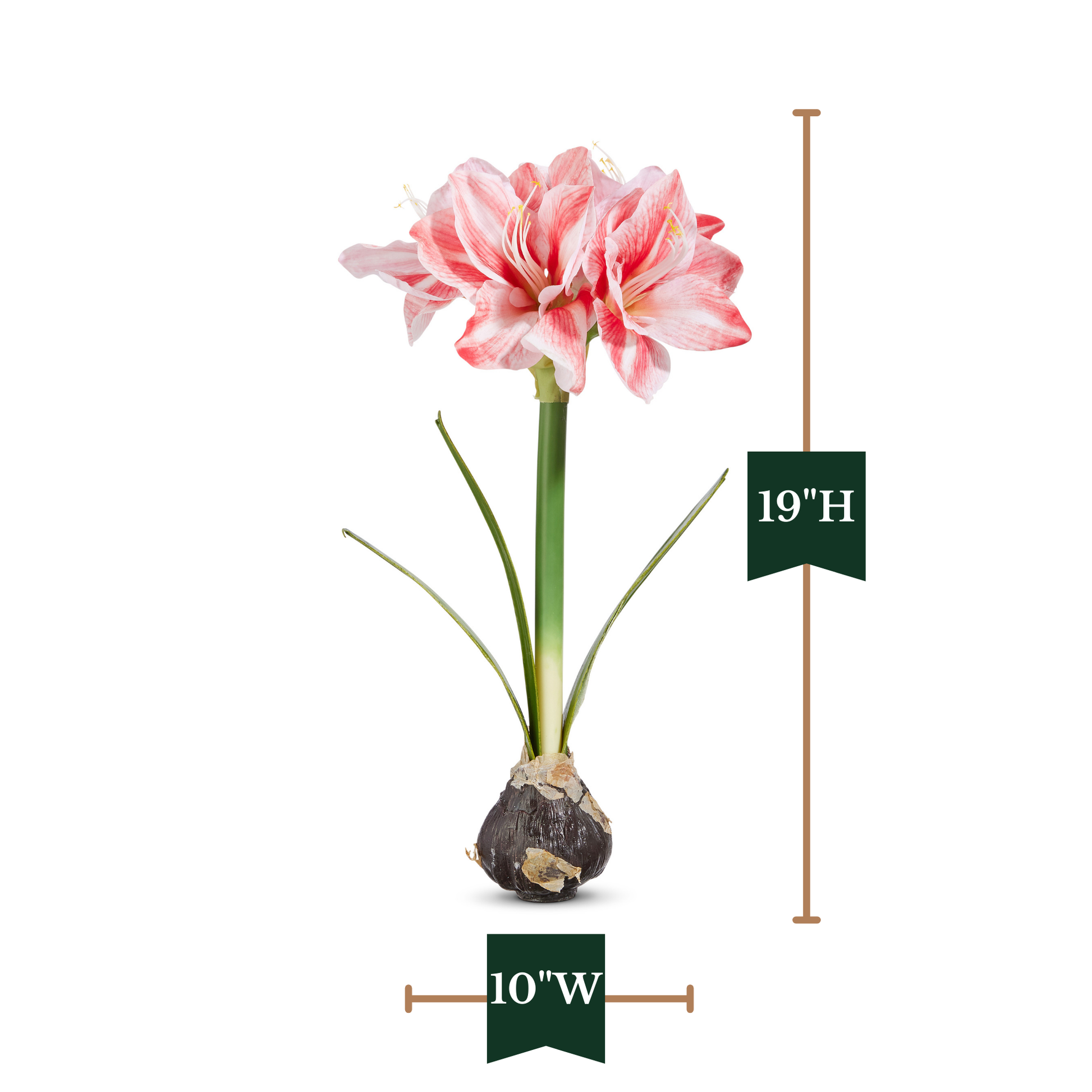 RAZ Imports 19" Real Touch Amaryllis Bulb Christmas Flower