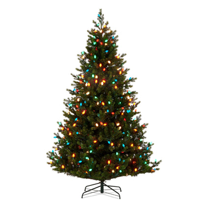 RAZ Imports Vintage Fraser Fir Artificial Christmas Trees with LED C7 Bulbs