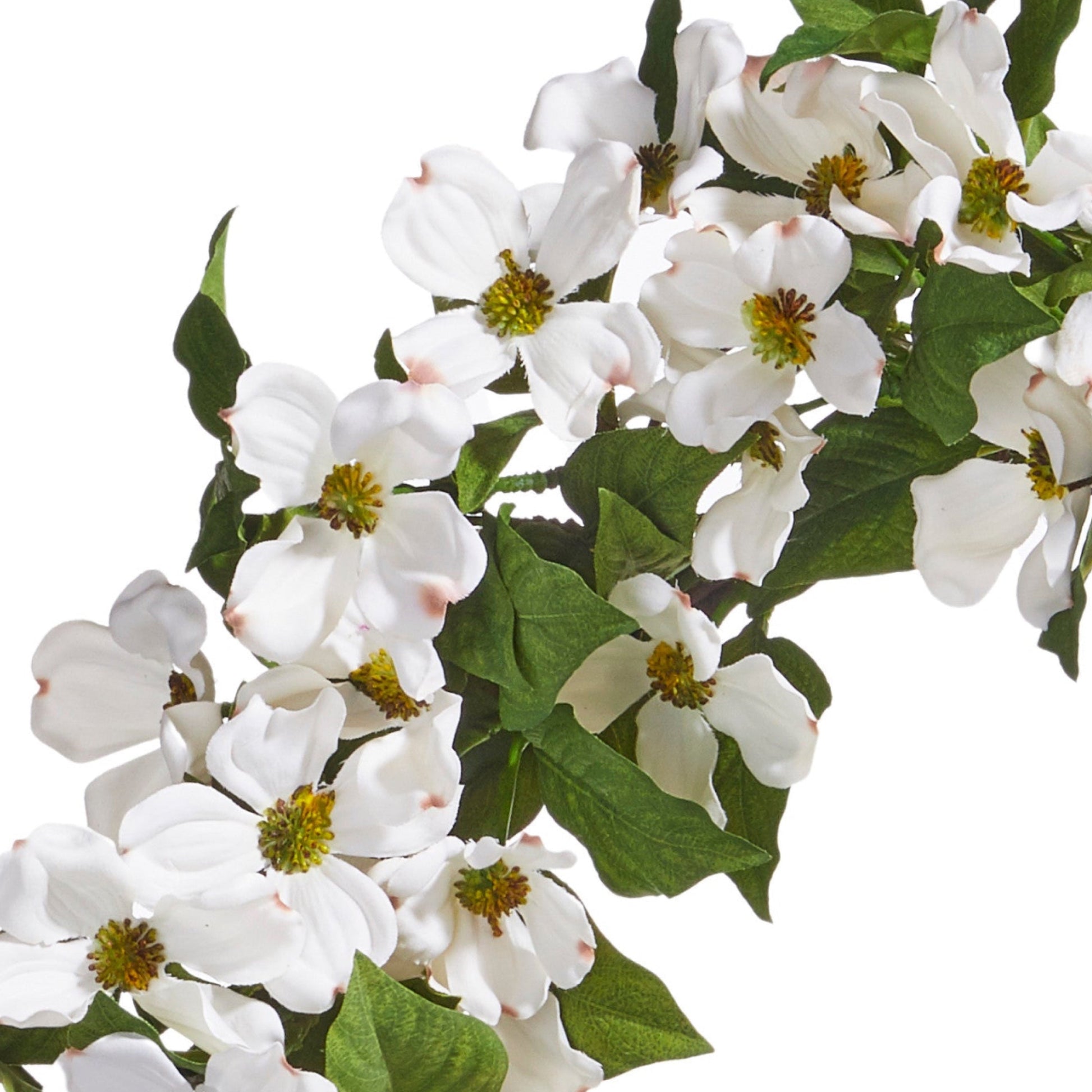 RAZ Imports 24" White Dogwood Flower Spring Easter Wreath