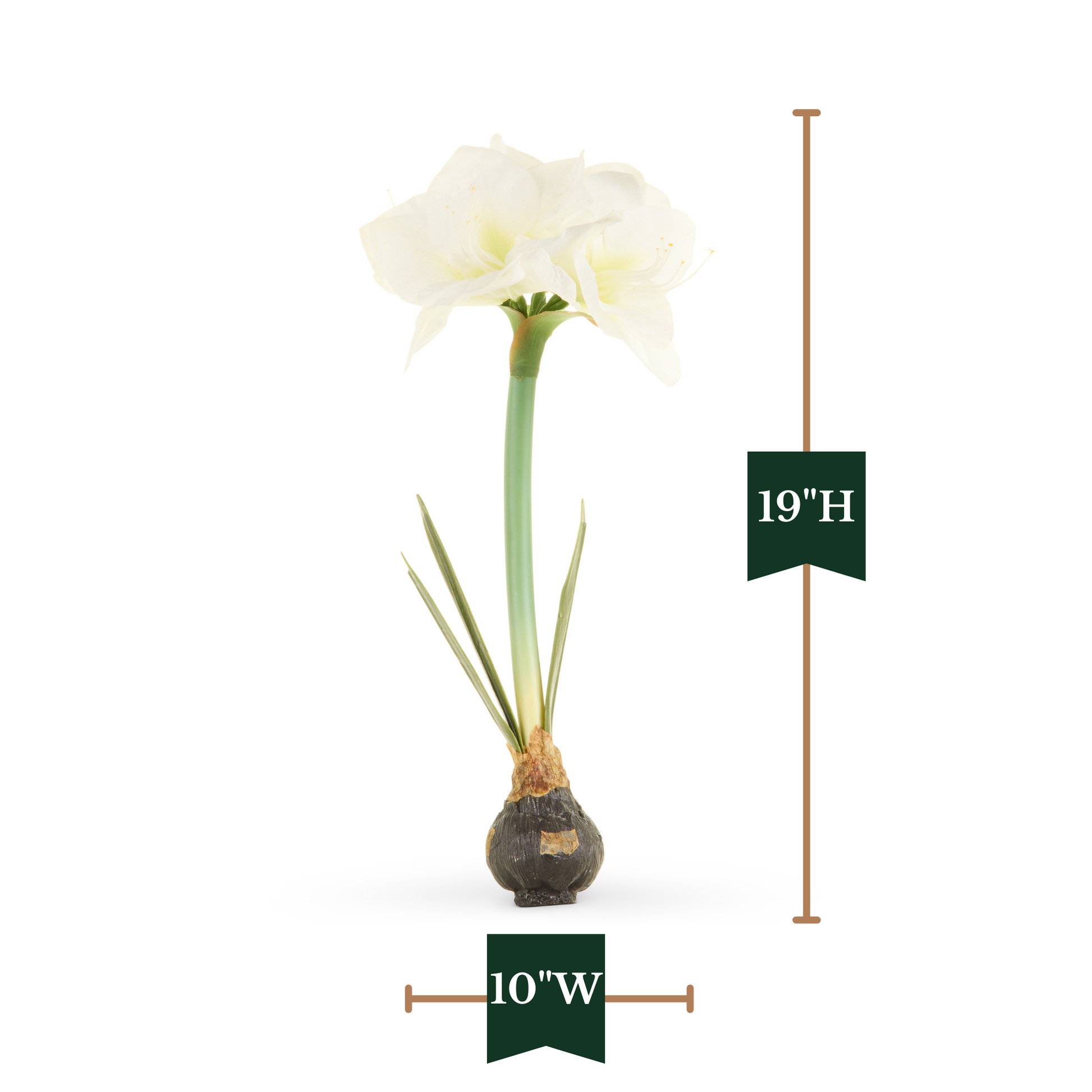 RAZ Imports 19" Real Touch Amaryllis Bulb Christmas Flower