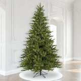 LED Warm While Mini Lights