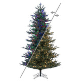 LED Color Changing and Warm White Wide Angle Lights