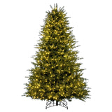 Full Tree