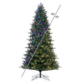 LED Color Changing and Warm White Wide Angle Lights