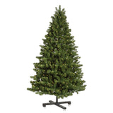 Full Tree