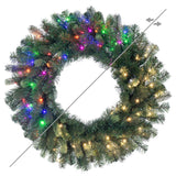 LED Color Changing and Warm White Wide Angle Lights Plug-In