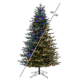 LED Color Changing and Warm White Wide Angle Lights